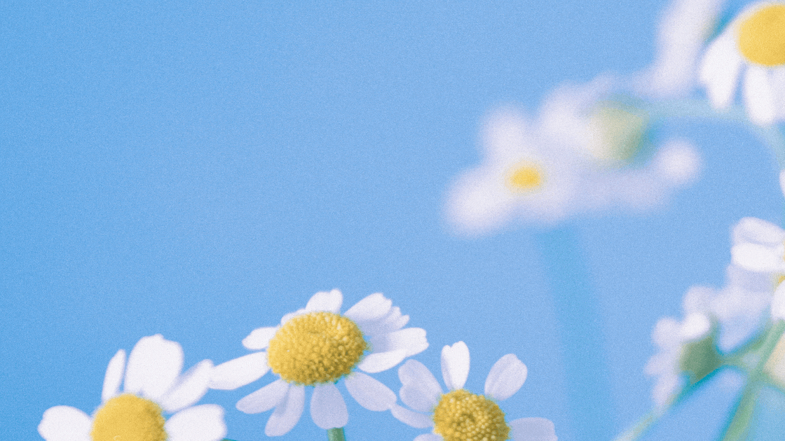 🌼 Celebrating Our Customers: Heartfelt Reviews from the Past Week 🌼