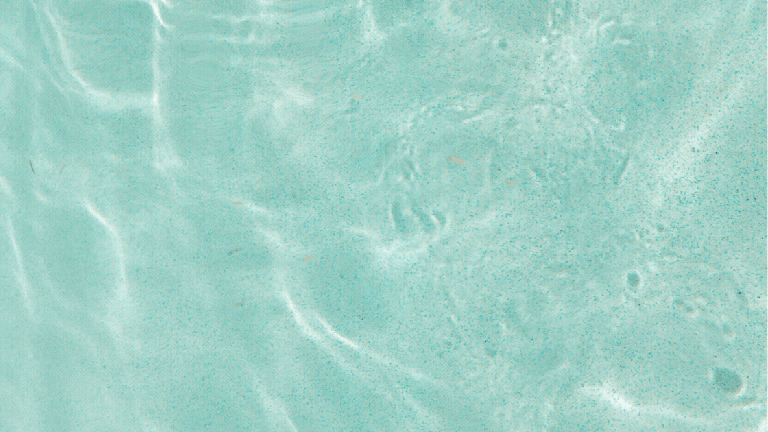 Last Week’s Customer Vibes: You Made Our Day!