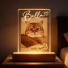 If Love Alone Could Have Kept You Here - Personalized Acrylic Block LED Night Light - Heartfelt Pet Loss Memorial Keepsake