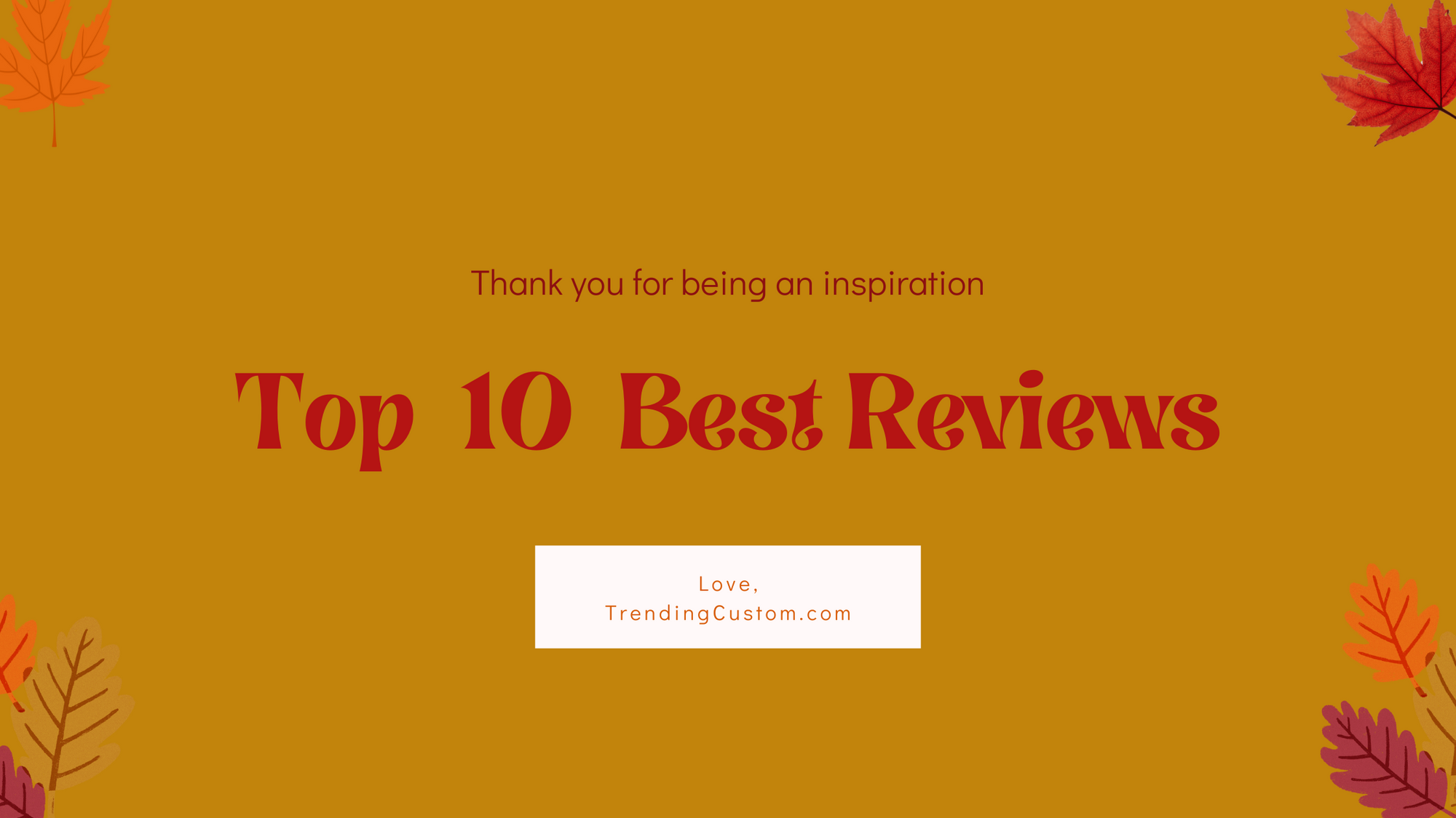 Top 10 Glowing Reviews: Our Customers Have Spoken! - August 26th, 2024