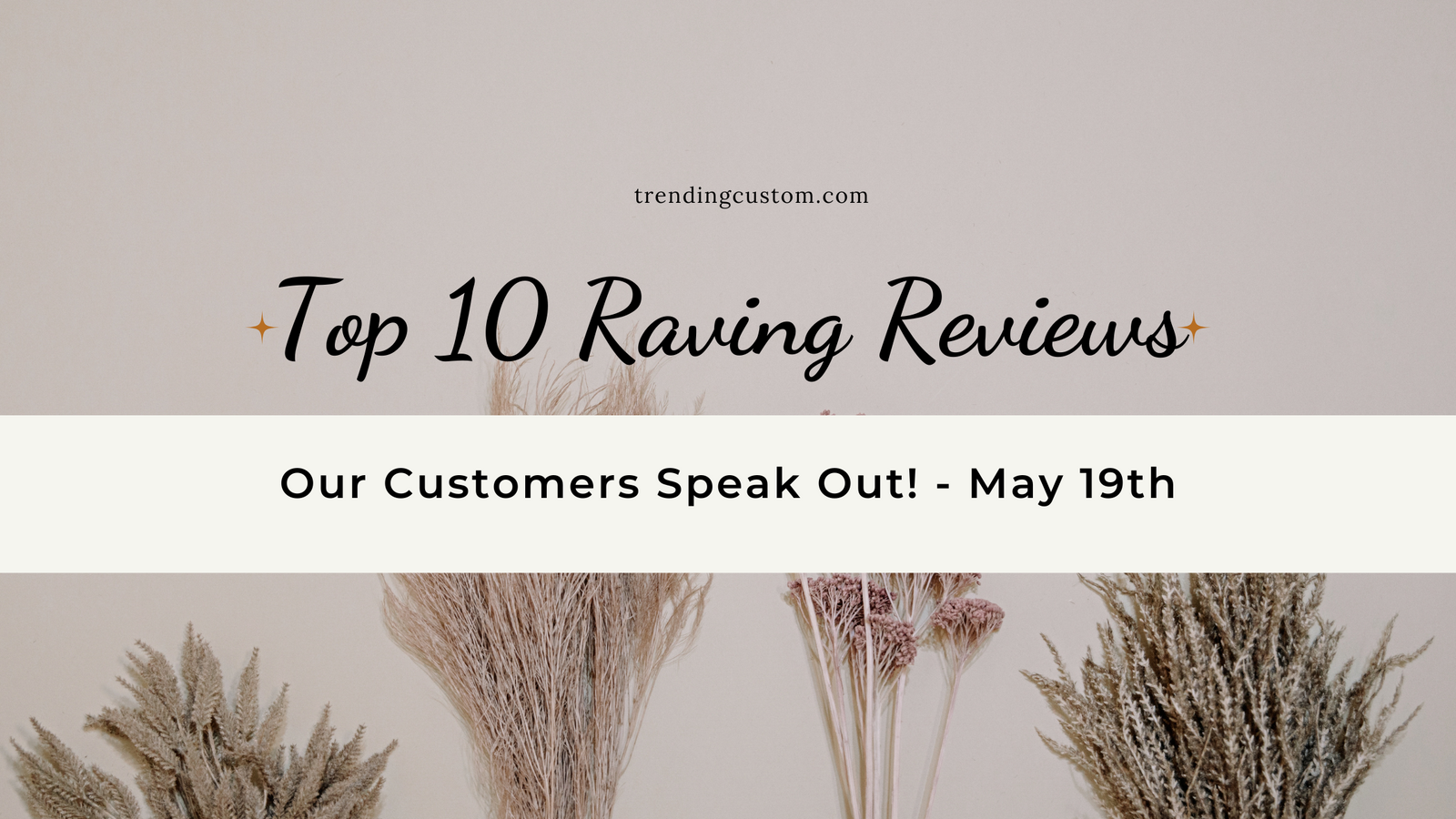 Top 10 Raving Reviews: Our Customers Speak Out! - May 19th