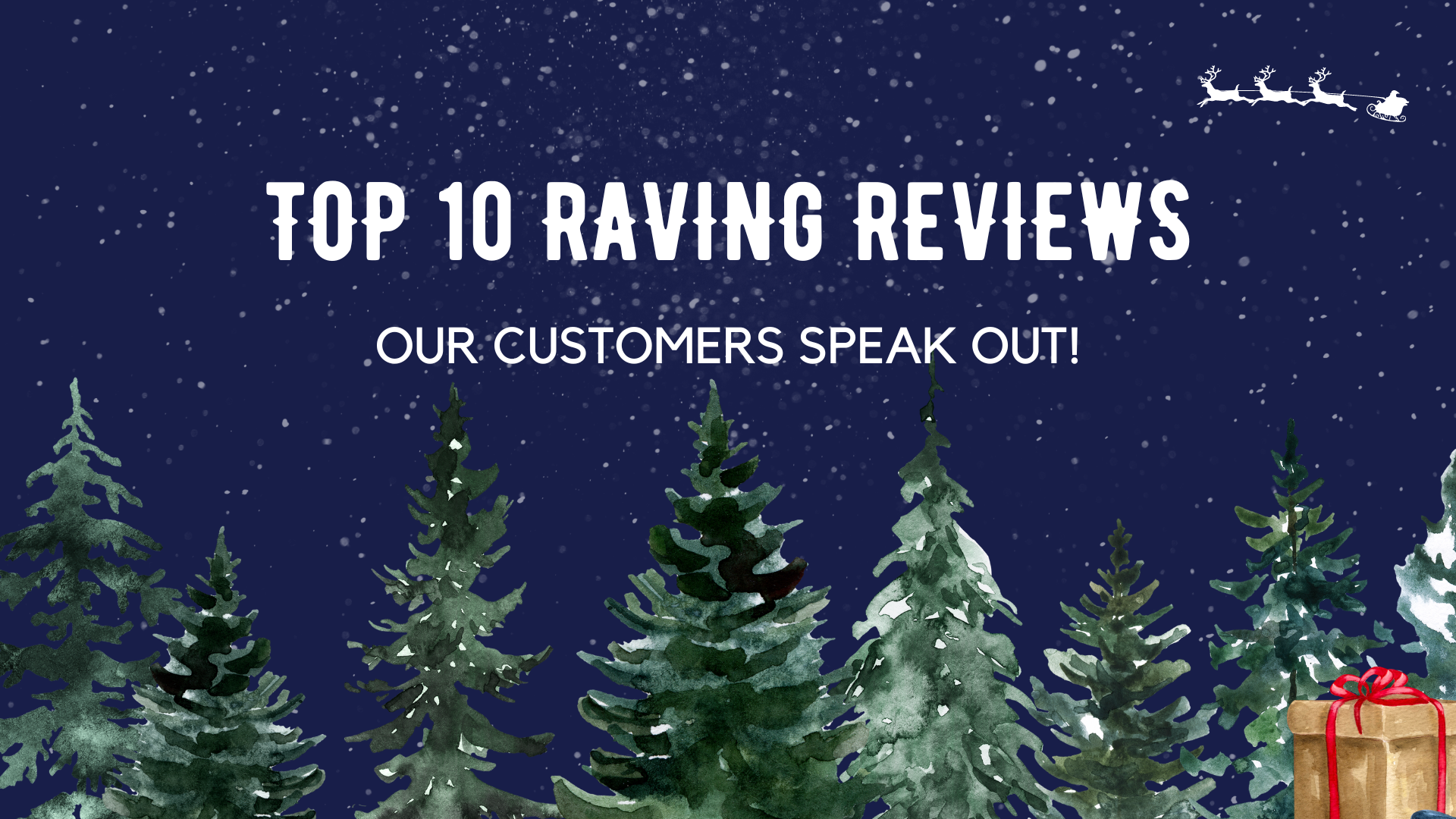 Top 10 Raving Reviews: Our Customers Speak Out! - December 17th