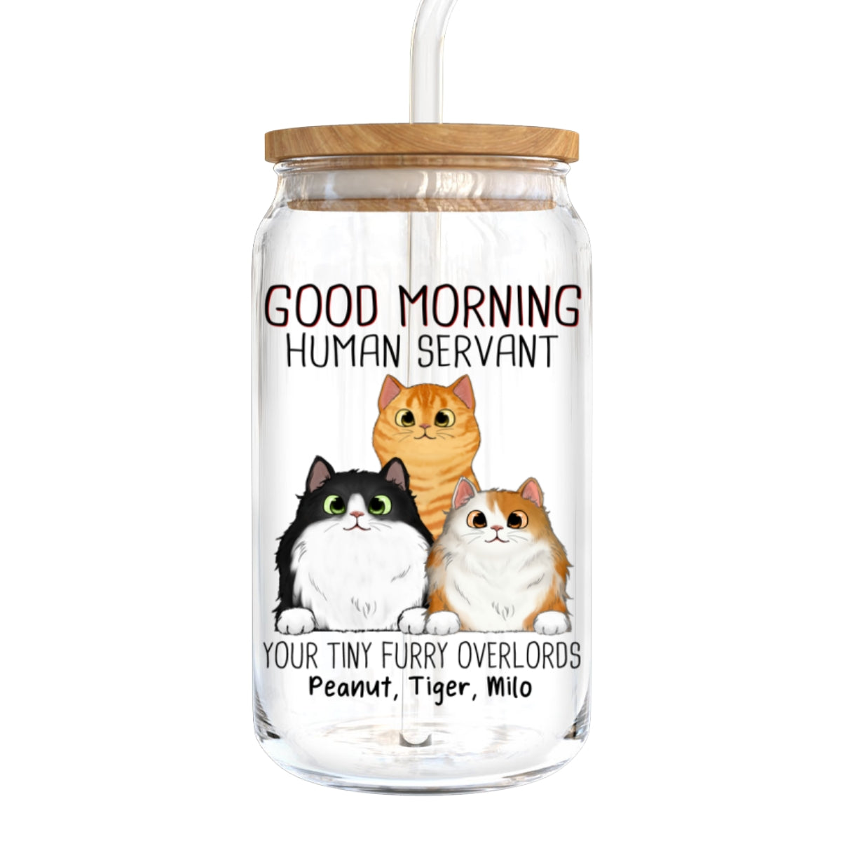 Good Morning Cat Human Servant Funny Gift For Cat Lovers Personalized Clear Glass Can