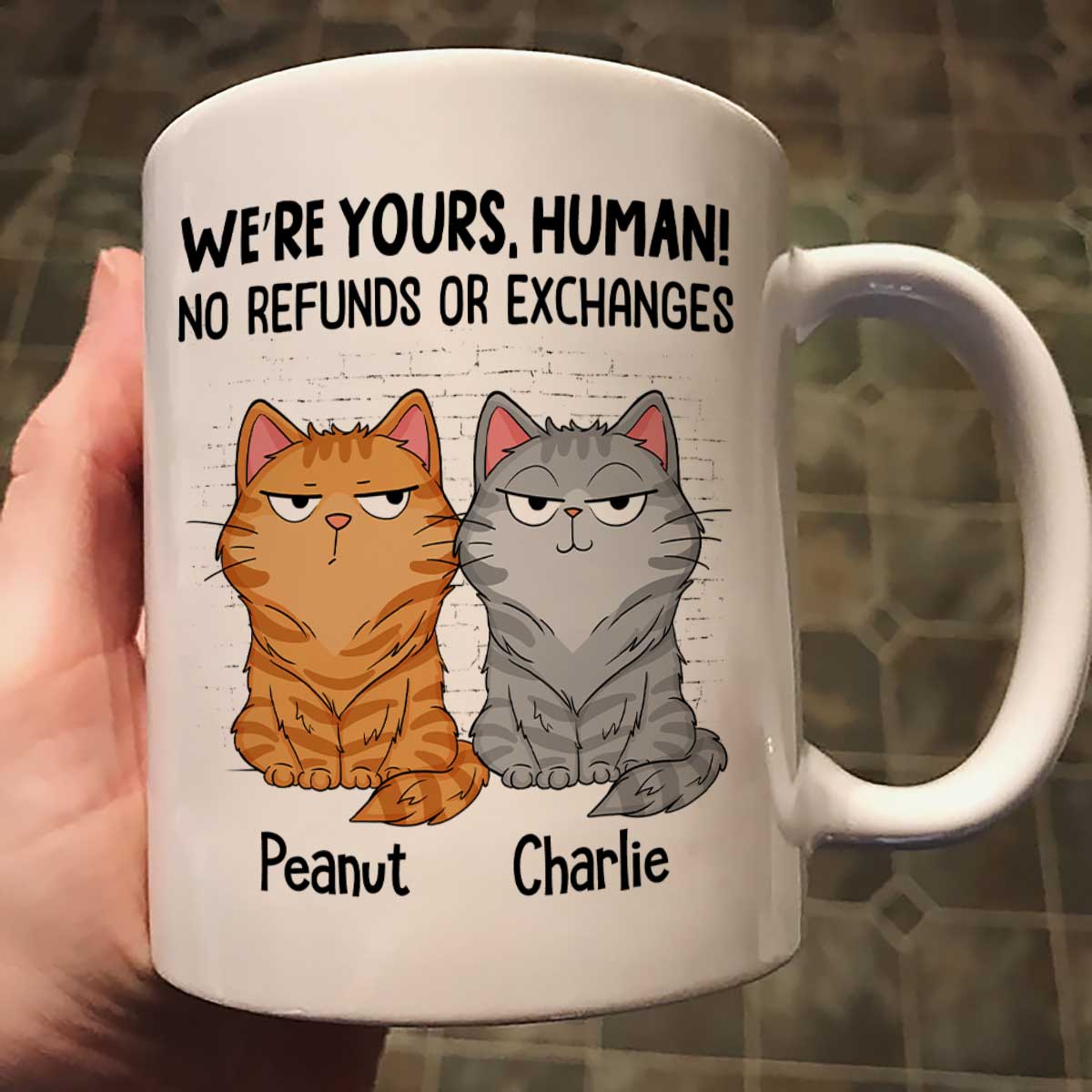 Sorry Human We‘re Yours Funny Cat Expression Personalized Mug