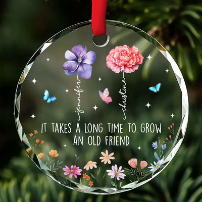 It Takes A Long Time To Grow An Old Friend, Birth Month Flower Personalized Glass Ornament, Christmas Gift for Best Friends