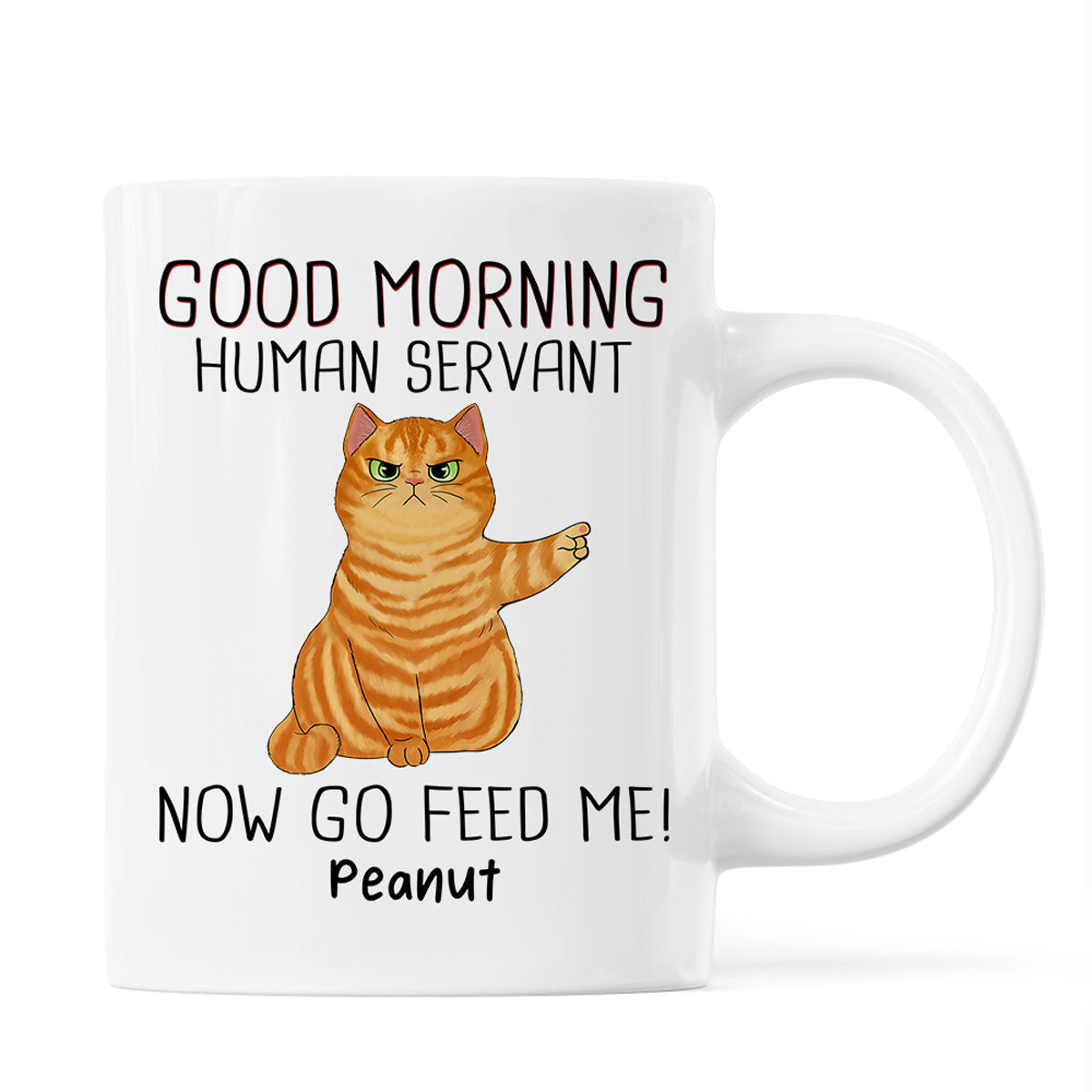 Happy Father‘s Day Good Morning Now Go Feed Me Grumpy Fluffy Cat Personalized Mug