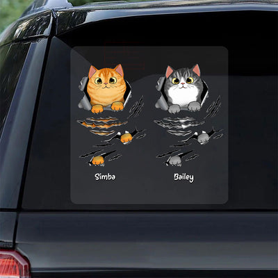 Fluffy Cat Scratch Cat Lover Decor Personalized Decal