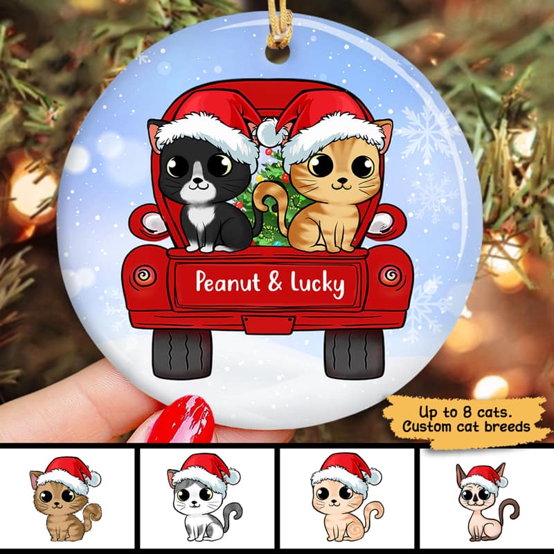 Cute Fluffy Cat On Truck Christmas Personalized Circle Ornament