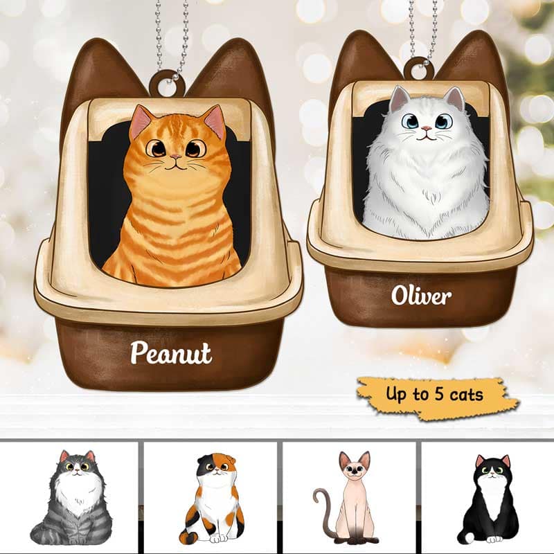 Cats In Litter Box Personalized Acrylic Ornament