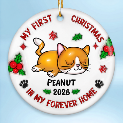 First Christmas In My Forever Home 3D Inflated Cat Lover Personalized Ceramic Ornament