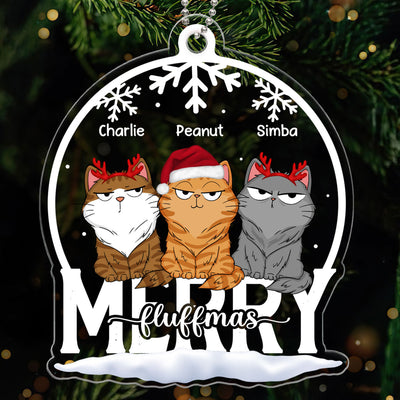 Cat Funny Expressions Christmas Snow Globe Personalized Acrylic Ornament