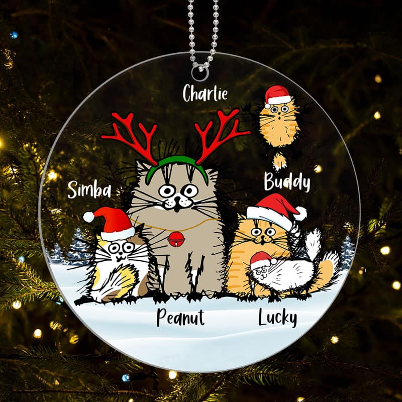 Funny Cats Personalized Christmas Acrylic Ornament