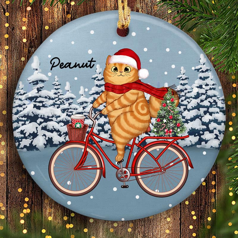 Cats Christmas Bicycle Personalized Circle Ornament