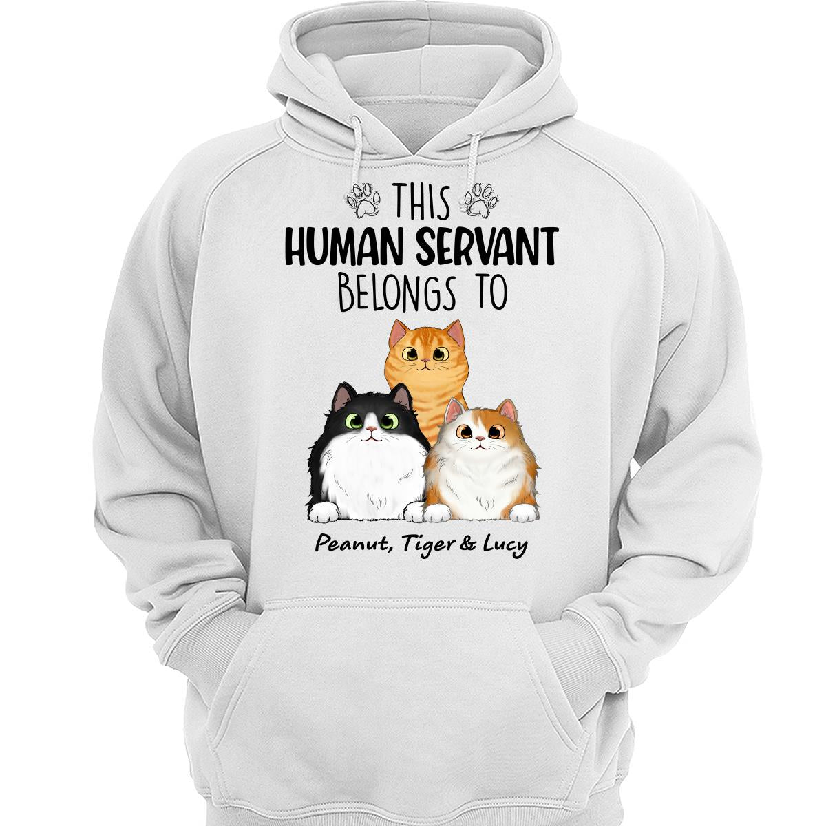 This Human Servants Belongs To Fluffy Cats Personalized Shirt