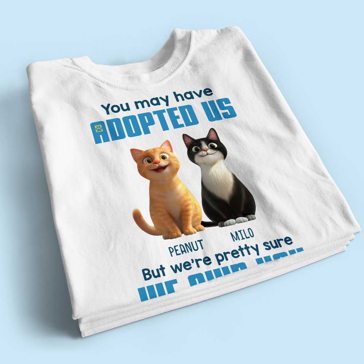Pretty Sure We Own You Cat Mom Personalized Shirt, Funny Gift for Cat Moms