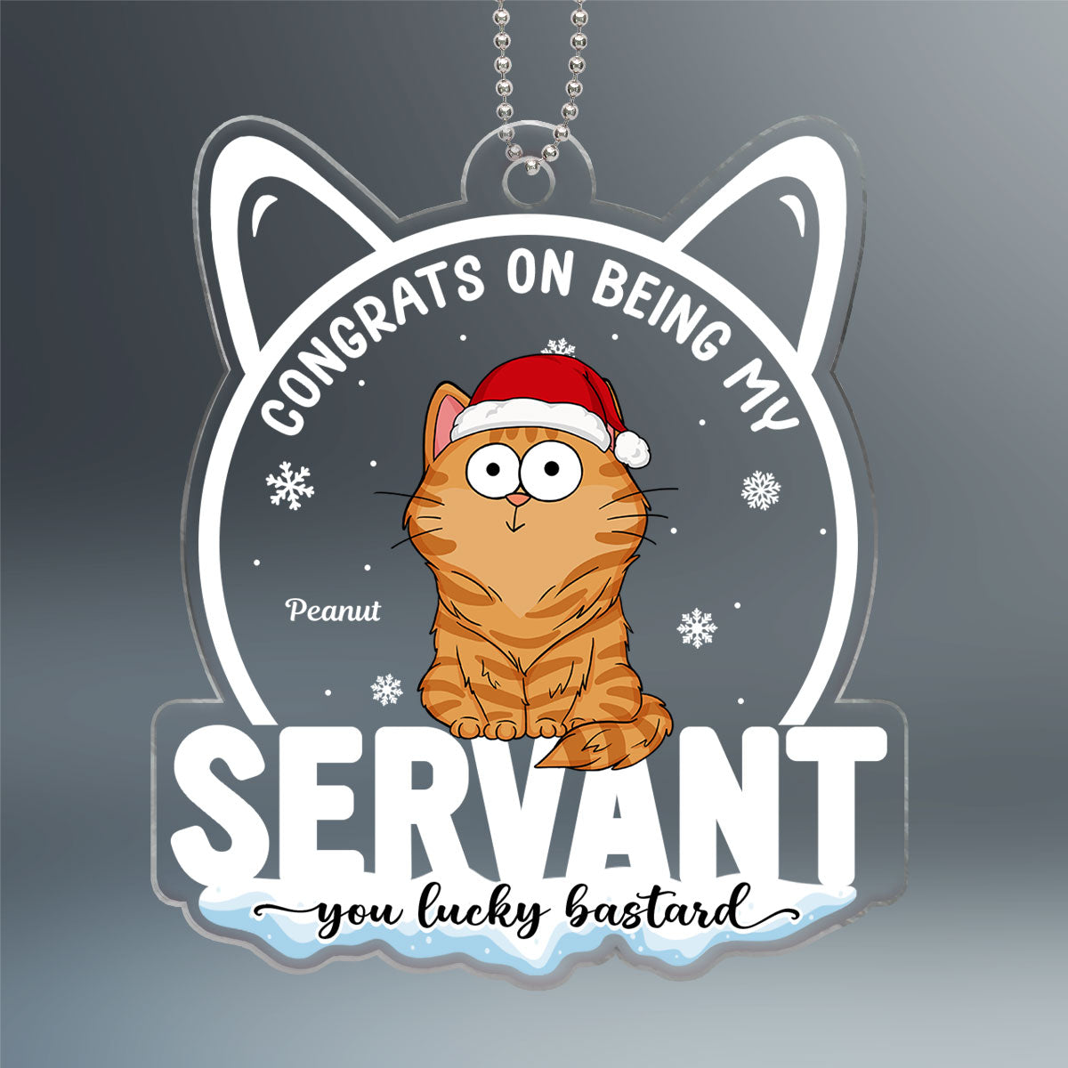 Congrats On Being My Cat Mom Human Servant Funny Cat Expression Personalized Acrylic Ornament