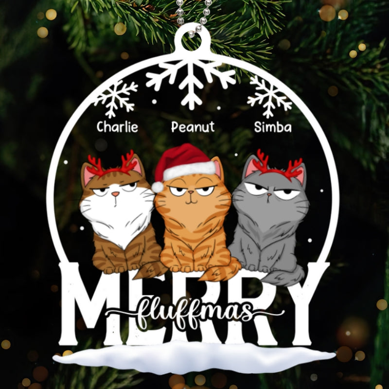 Cat Funny Expressions Christmas Snow Globe Personalized Acrylic Ornament