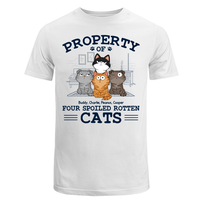 Property Of Spoiled Rotten Cats Funny Cats Expressions Personalized Shirt