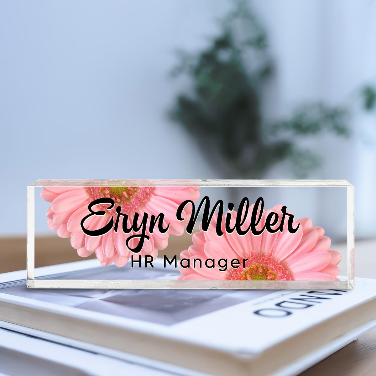 Personalized Office Acrylic Desk Name Plate, Office Desk Decor, Gift For Colleagues, Coworkers, Boss