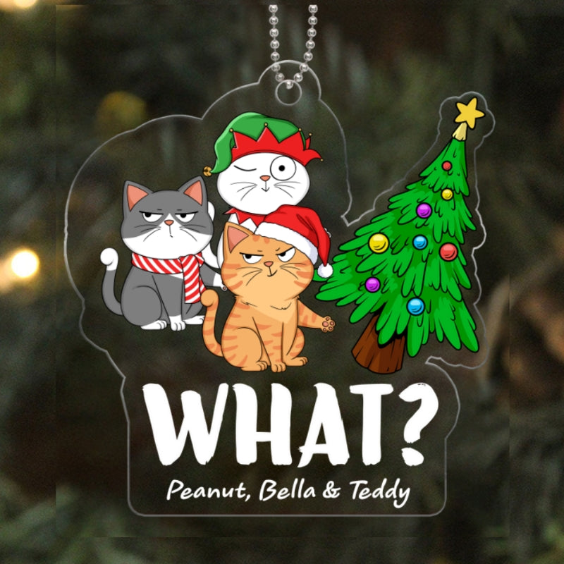 What Cats Funny Expressions Christmas Personalized Acrylic Ornament