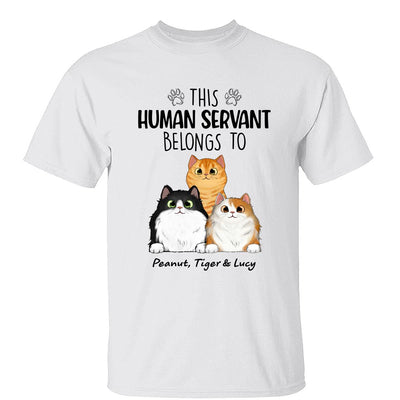 This Human Servants Belongs To Fluffy Cats Personalized Shirt