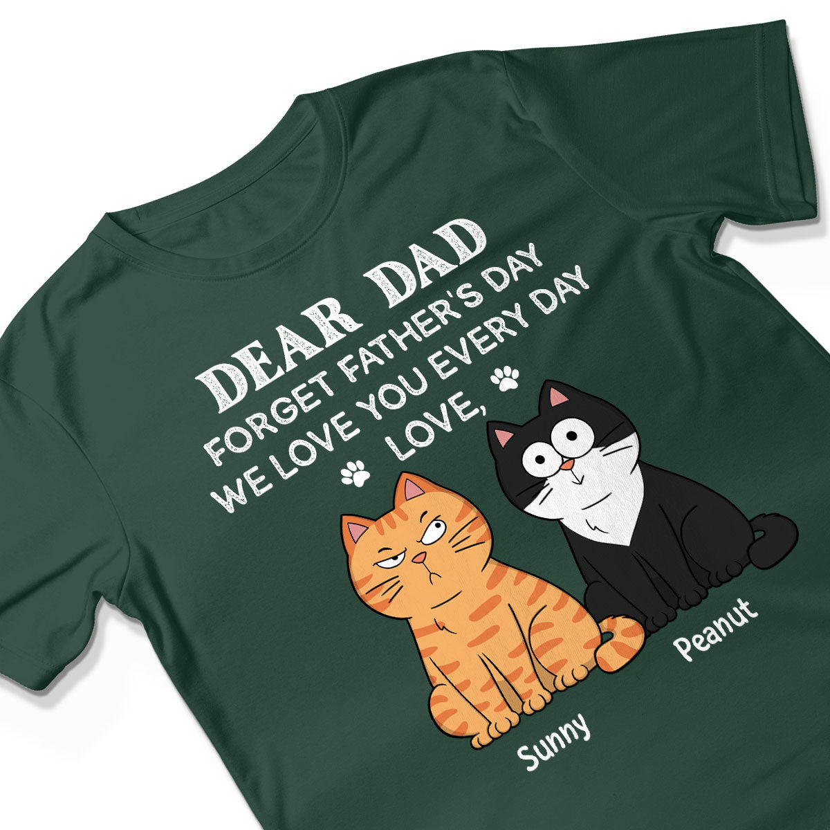 Forget Father's Day We Love You Every Day Gift For Cat Lover Personalized Shirt