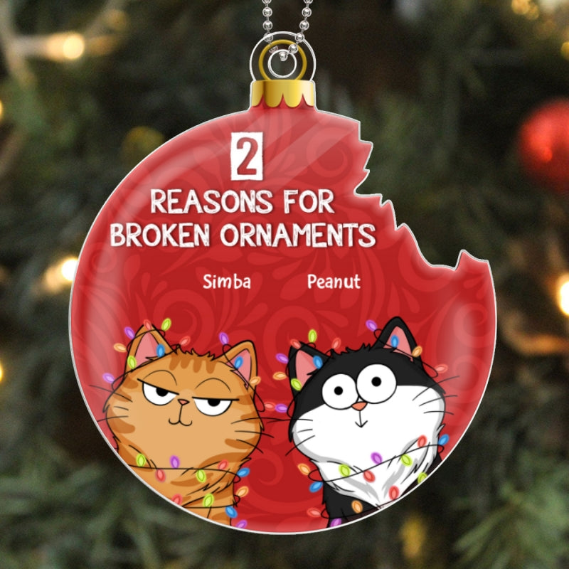 Reasons For Broken Ornament Funny Cat Expression Personalized Acrylic Ornament