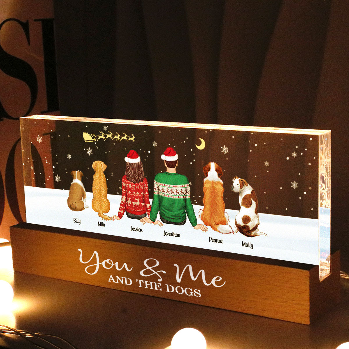 You Me And The Dogs Cats Sitting In Snow Personalized Acrylic Block LED Night Light, Christmas Decoration
