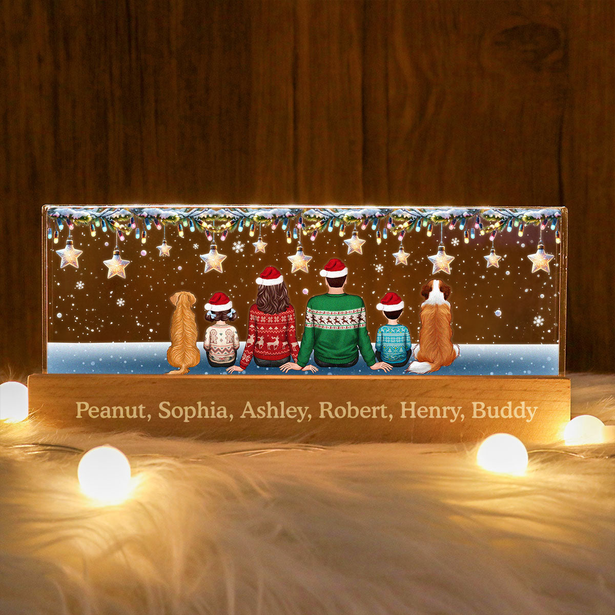 Family Dogs Cats Christmas Sitting Christmas Light Star Personalized Acrylic Block LED Night Light