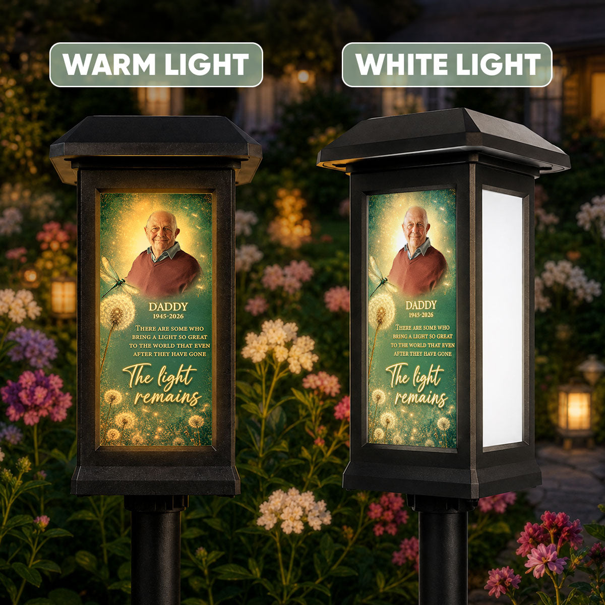 The Light Remains Memorial Dragonfly Dandelion - Personalized Solar Lantern Light - Heartfelt Sympathy Gift for Loved Ones