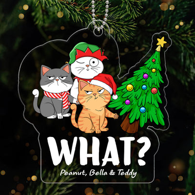 What Cats Funny Expressions Christmas Personalized Acrylic Ornament