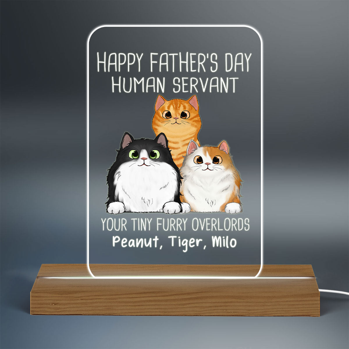 Happy Father‘s Day Human Servant Peeking Fluffy Cats Personalized Custom Shape Acrylic Plaque LED Night Light
