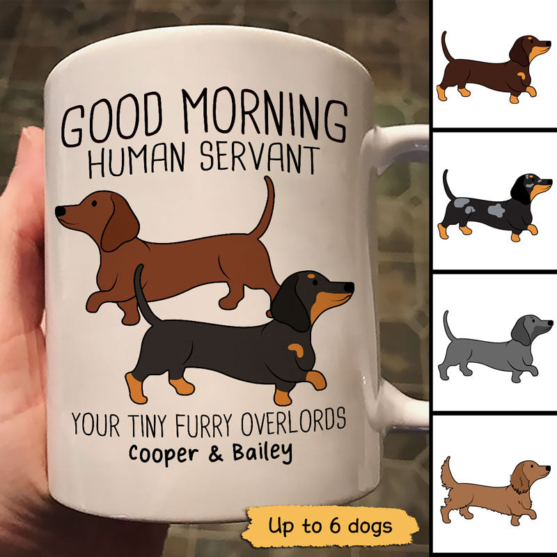 Dachshunds