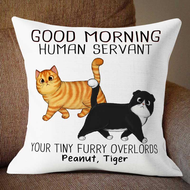 Walking Fluffy Cats Good Morning Cat Human Servant Personalized Pillow (Insert Included)
