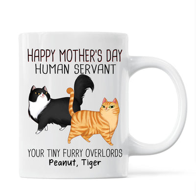 Cartoon Walking Cat Happy Mother‘s Day Human Servant Personalized Mug