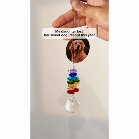 Pet Dog Cat Memorial Look For Me In The Rainbows Upload Photo Personalized Crystal Suncatcher With Aluminum Charm