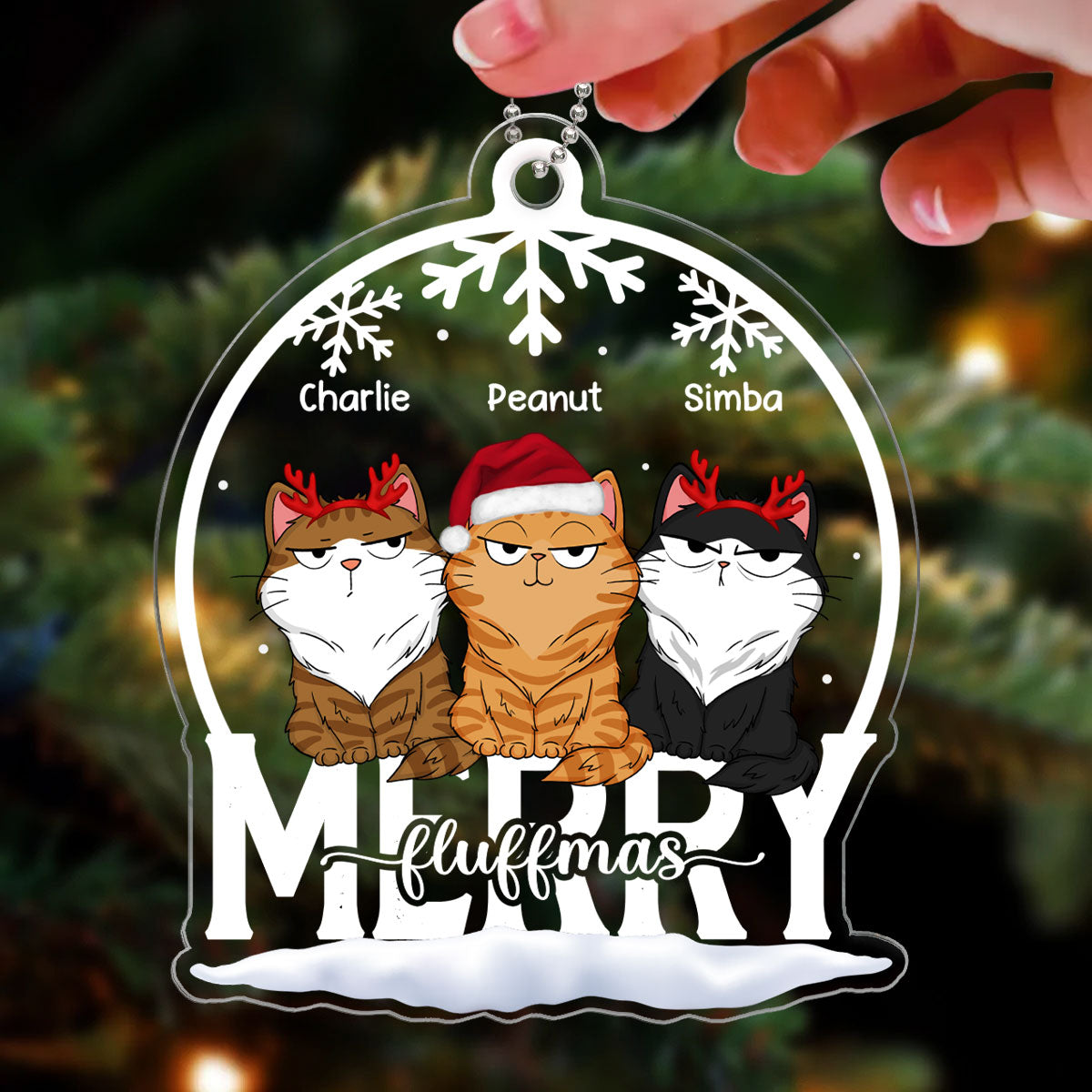 Cat Funny Expressions Christmas Snow Globe Personalized Acrylic Ornament