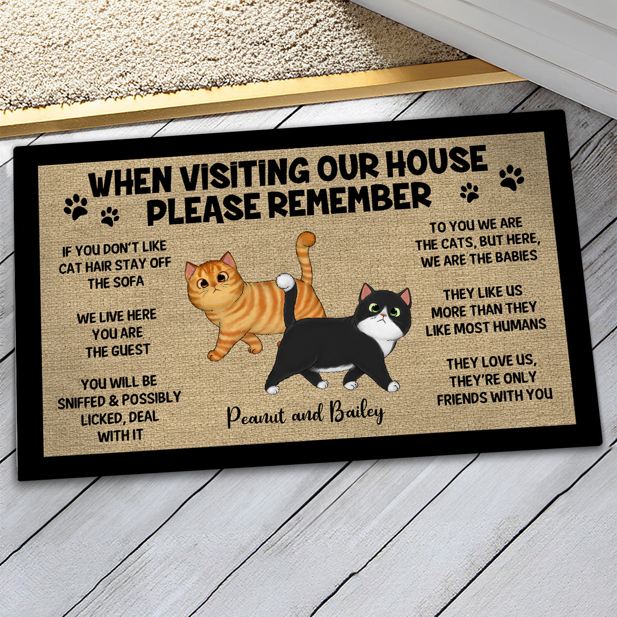 Please Remember When Visiting Cats House Home Decor Gift For Cat Lover Personalized Doormat