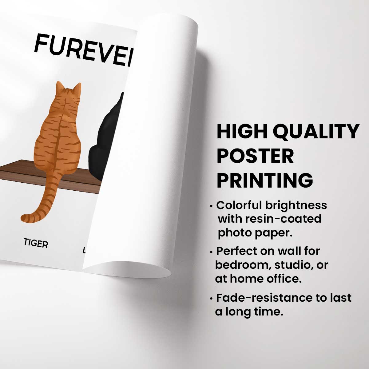 Furever Together Cat Portrait Prints Cats On A Shelf Personalized Poster