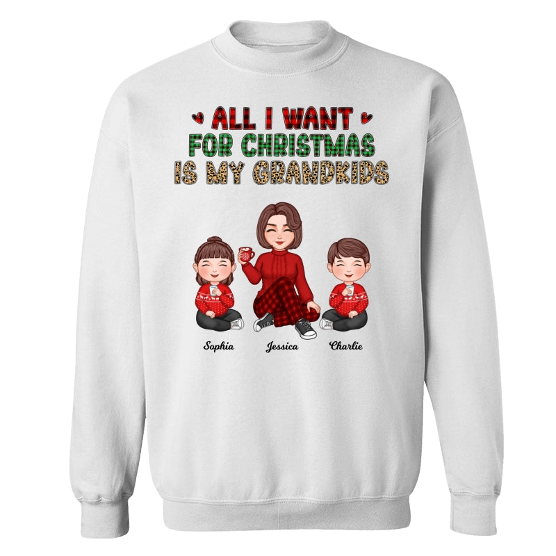 Checkered Leopard Pattern All I Want For Christmas Is My Grandkids Cute Grandma & Kids Personalized Shirt