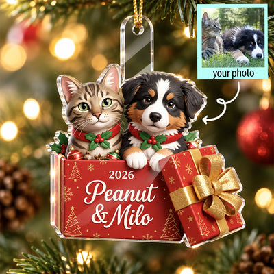 Custom Dog Cat Pet inside Gift Box - Personalized Acrylic Ornament - Christmas Gift for Dog Cat Mom
