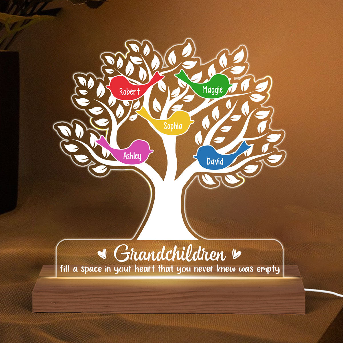 Grandchildren Fill A Space In Your Heart Grandma Mother‘s Day Gift Personalized Acrylic Custom Shape LED Lamp Night Light