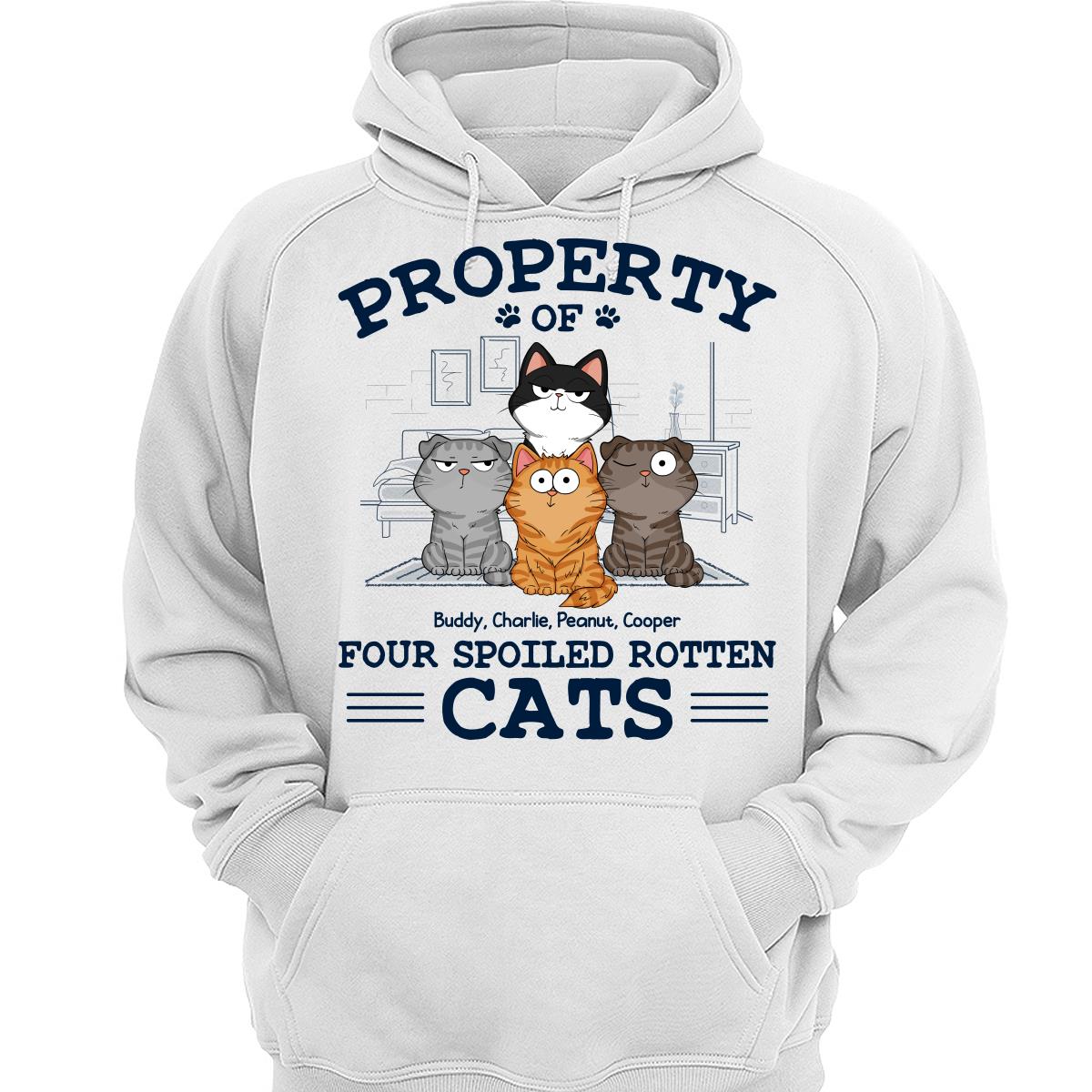 Property Of Spoiled Rotten Cats Funny Cats Expressions Personalized Shirt