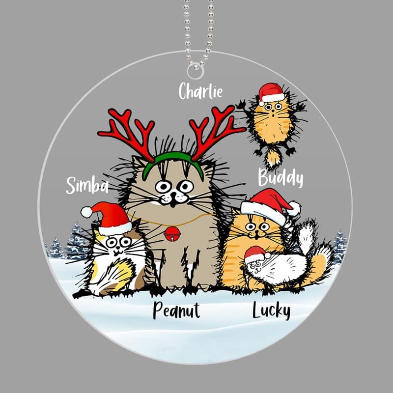 Funny Cats Personalized Christmas Acrylic Ornament