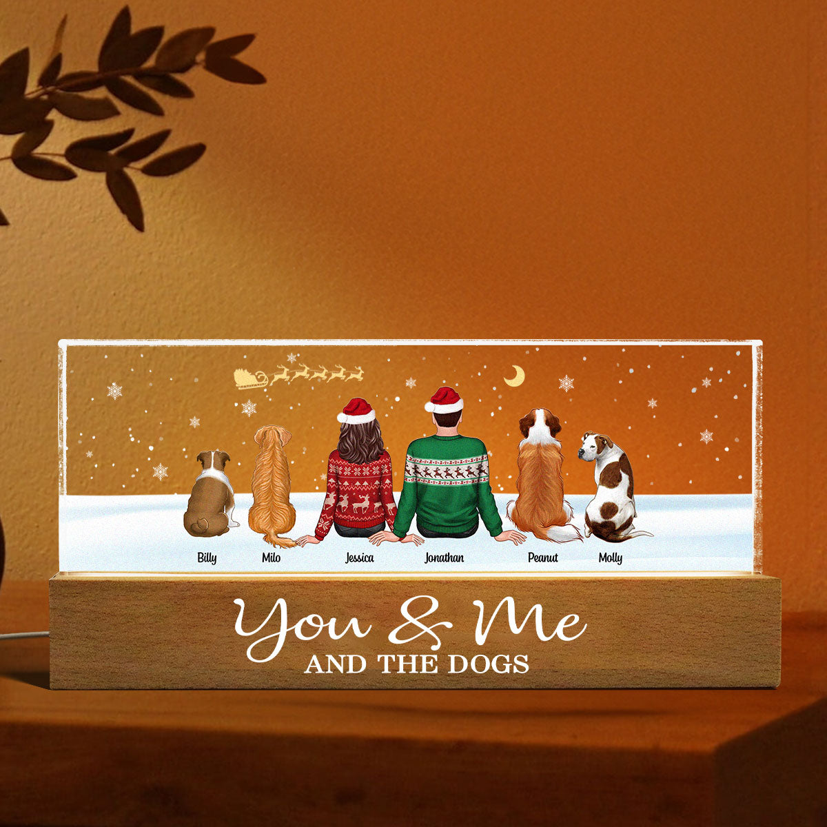 You Me And The Dogs Cats Sitting In Snow Personalized Acrylic Block LED Night Light, Christmas Decoration