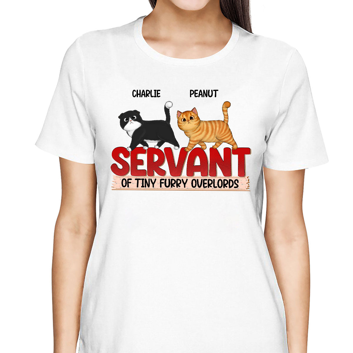 Servant Of Walking Fluffy Cat Gift For Cat Lover Personalized Shirt