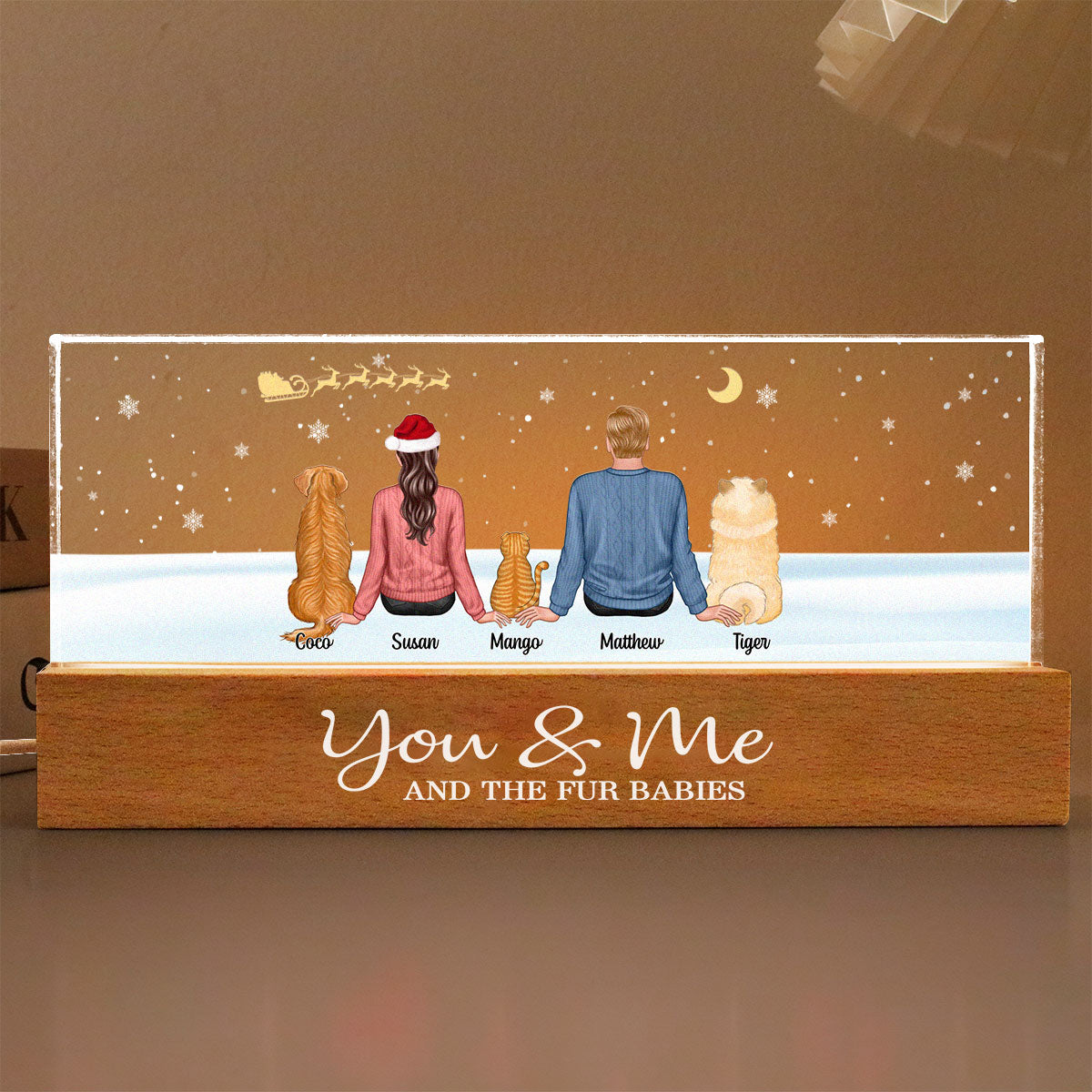 You Me And The Dogs Cats Sitting In Snow Personalized Acrylic Block LED Night Light, Christmas Decoration