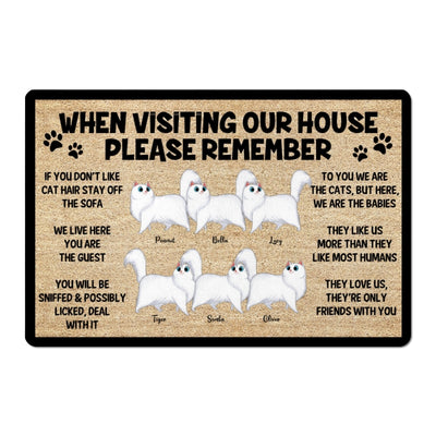Please Remember When Visiting Cartoon Walking Cat House Personalized Doormat