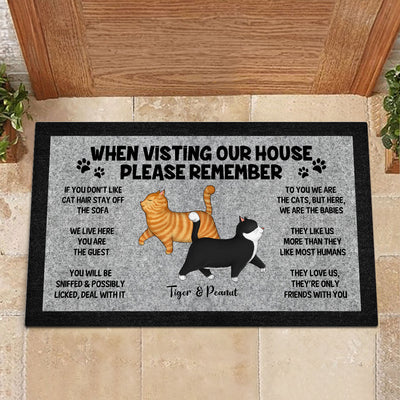 Please Remember When Visiting Cat House, Funny Cat Lover Rug Doormat