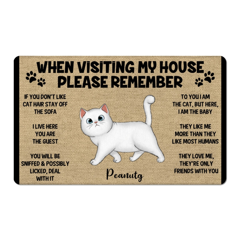 Please Remember When Visiting Cats House Personalized Doormat